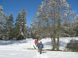 Bei Sulzberg
