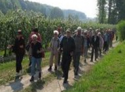 csm_wandern2_cb666eea09.jpg