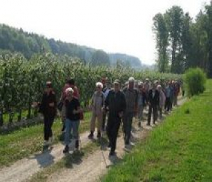 csm_wandern2_cb666eea09.jpg